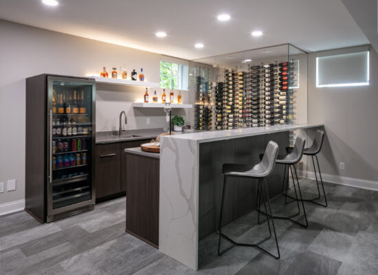 basement and wine bar remodeling modern