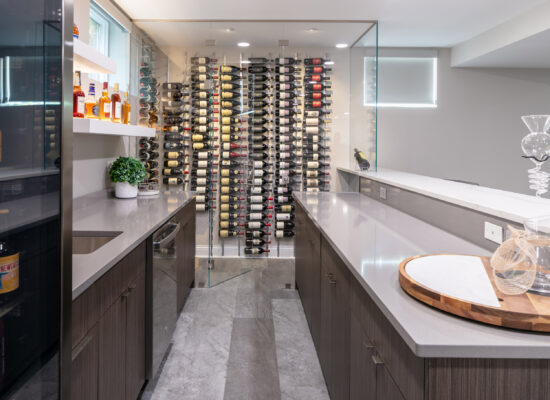 basement and wine bar remodeling modern